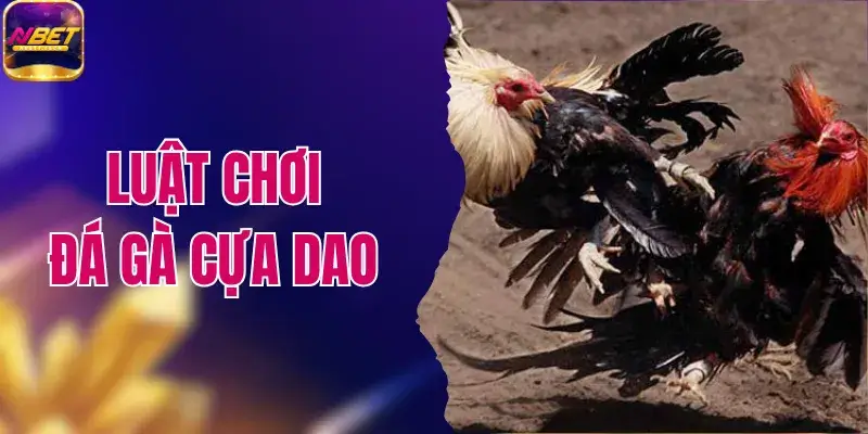 Luật Chơi Đá Gà Cựa Dao 2026 Và Những Quy Định Mới 1 Luật Chơi Đá Gà Cựa Dao 2026 Và Những Quy Định Mới