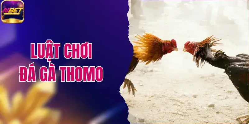 Luật Chơi Đá Gà Thomo 2026 Và Các Quy Định Cần Biết