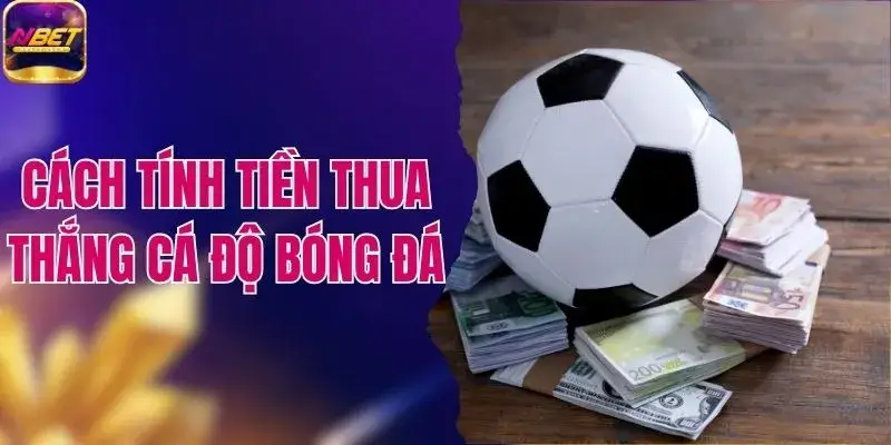 Cách Tính Tiền Thua Thắng Cá Độ Bóng Đá Siêu Chuẩn 1 Cách Tính Tiền Thua Thắng Cá Độ Bóng Đá Siêu Chuẩn